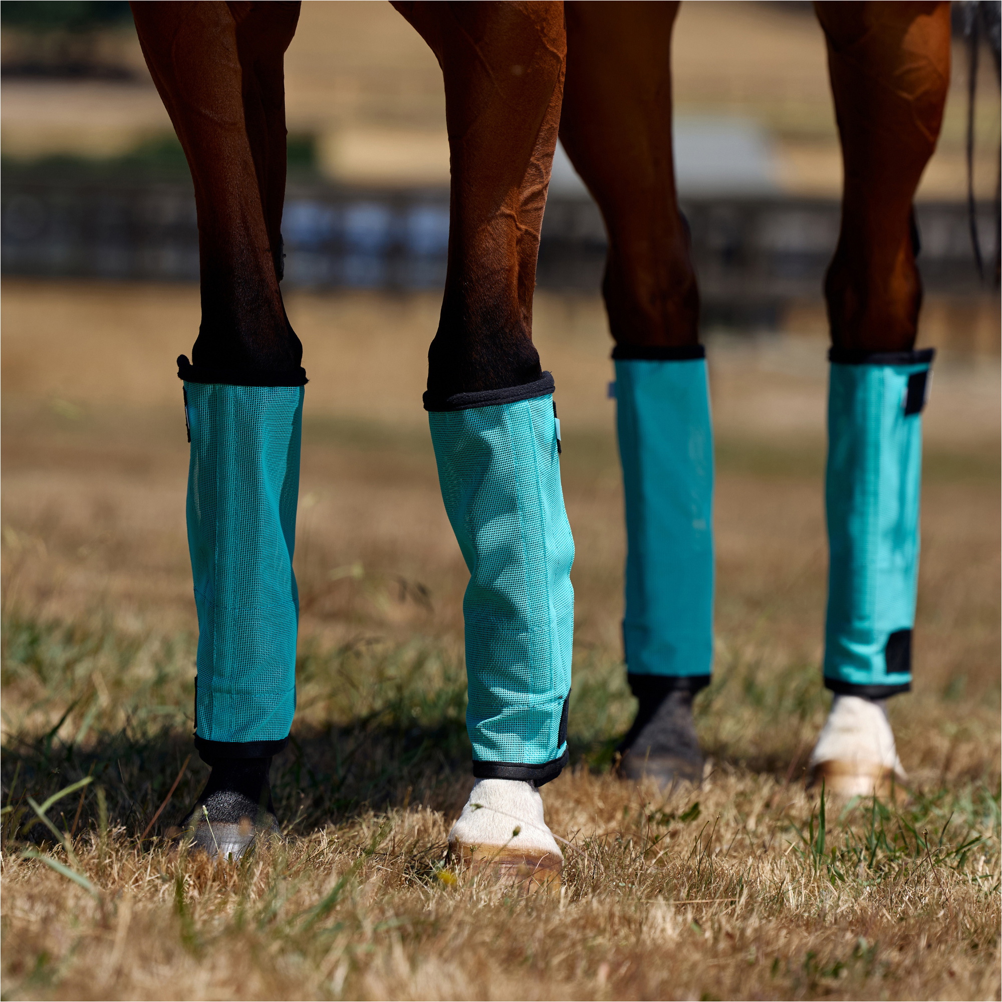 2026 WeatherBeeta Comfitec Dura-Mesh Couvertures Anti-mouches 1030085005 - Turquoise / Black